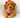 Tales of Tails: Heartwarming Stories of Families Who Found Furry Bliss with Florida Goldens