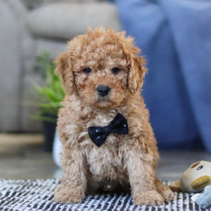 Benny