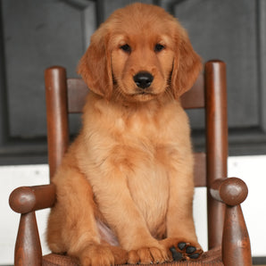 Charlie