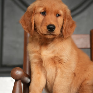 Charlie
